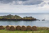 Catamarans at Pointe du Grouin, Emerald Coast, Brittany, France