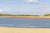Estuary of Payré, Veillon Beach, Natura 2000 site, Talmont St Hilaire, Vendée, Pays de Loire, France