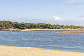 Estuary of Payré, Veillon Beach, Natura 2000 site, Talmont St Hilaire, Vendée, Pays de Loire, France