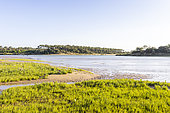 Estuary of Payré, Guittière Port, Natura 2000 site, Talmont St Hilaire, Pays de Loire, Vendée, France