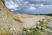 Quarry in operation, nesting site of European Bee-eater (Merops apiaster), Sand Martin (Riparia riparia) and Little ringed Plover (Charadrius dubius), Oselle, Doubs, France