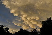 Formation de nuages mammatus en été, Brognard, France