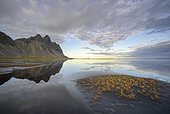 Water reflection, Vestrahorn, Klifatindur, Höfn, Austurland, Iceland, Europe