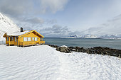 Traditional house on the Ytresand coast in winter, Lofoten, Norway