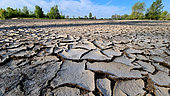 Clayey sand in the dry arms of the Loire in the height of summer when the Loire is over 30°C. Loire Valley, France