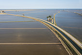 Flooded rice fields in May. Aerial view. Drone shot. Ebro Delta Nature Reserve, Tarragona province, Catalonia, Spain.