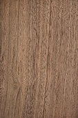 Longitudinal section of Black Walnut (Juglans nigra), Eastern North America
