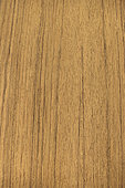 Longitudinal section of Teak (Tectona grandis), Indonesia