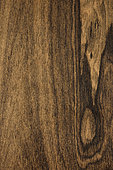 Longitudinal section of Ziricote (Cordia dodecandra), Chiapas, Mexico