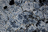 Talc thin section under cross-polarized light, Field of view - FOV = 3.4 mm , Mention : UniLaSalle collection