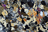 Garnet amphibolite thin section under cross-polarized light, Field of view - FOV = 3.4 mm , rolled block in the river Aube, France. Mention : UniLaSalle collection