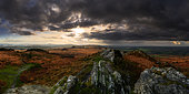 Roc'h Trevezel in autumn, Monts d'Arrée, Finistère, Brittany, France