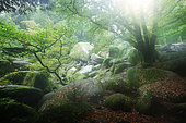 Rocky chaos in the Huelgoat forest in autumn, Finistère, Brittany, France