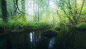 Silver River in Huelgoat forest in autumn, Finistère, Brittany, France