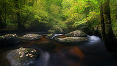 River in Huelgoat forest in autumn, Finistère, Brittany, France
