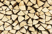 Firewood stacks, Beech wood, spring, Northern Vosges, France