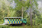 Hive truck in a forest, Slovenia