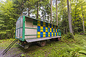 Hive truck in a forest, Slovenia