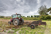 Potato harvesting machine in summer, Pas de Calais, France