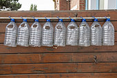 Plastic water bottles cut to protect young plantations in summer, Pas de Calais, France
