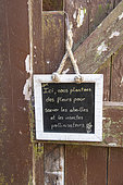 Message written on a slate in a garden, summer, Pas de Calais, France