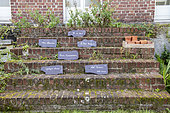 Abbé Pierre's message on the steps leading to the garden in summer, Pas de Calais, France