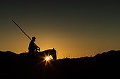 Gardian (cowman) and his Camargue horse, backlighting at sunrise, Camargue, France
