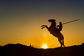 Gardian (cowman) and his Camargue horse, backlighting at sunrise, Camargue, France
