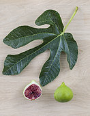 Leaf and fruit of the 'Green Sugar' fig, with large green fruit and red flesh.