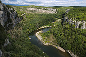 Païolive forest, Chassezac gorges, sensitive natural area, Ardèche, France