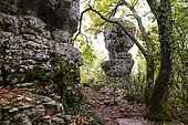 Rock of Païolive forest, sensitive natural area, Ardèche, France