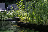 Natural swimming pool, regeneration area with water plants, France