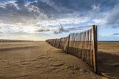 Ganivelles on the beach at Calais, used to retain sand during storms, autumn, Pas de Calais, France