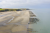 Mold stakes at the foot of Cape Gris-nez, Tardinghen, Grand site des Deux-Caps, Pas-de-Calais, Opal Coast, Hauts de France, France