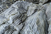 Milliau Island hornfels. Very old metamorphic rocks, dating from the Precambrian (Cadomian orogeny, around minus 600 Ma). The beds correspond to turbidites, Cadomian submarine avalanches, the light beds were sands, the dark beds were clays, Trebeurden, Côtes d'Armor, Brittany, France