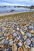 Impressive granite, dolerite and diorite pebbles on the coast, Plougrescant, Côtes d'Armor, Brittany, France