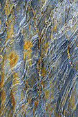 Graphics in grey-blue shales from the Brioverian period in Brittany. Brioverian shale in the cove of Ty Marc, Saint Nic, Bay of Douarnenez, Finistère, Brittany, France