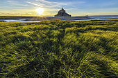 Mont Saint Michel Bay at low tide at dusk, Salt meadows in foreground, Normandy, France
