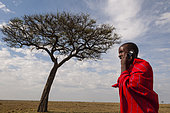 A Masai man talking on a mobile phone near an acacia tree. Masai Mara National Reserve, Kenya.
