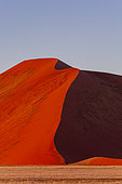 The serpentine ridge of a red sand dune in the Sossusviel. Namib Naukluft Park, Namib Desert, Namibia.