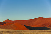 Red Sand dunes against a bright blue sky in the Sossusvlei. Namib Naukluft Park, Namib Desert, Namibia.