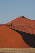 Red sand dunes in the Sossusvlei. Namib Naukluft Park, Namib Desert, Namibia.