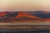 Sunlight illuminates red sand dunes and the Namib Desert at sunrise. Namib Naukluft Park, Namib Desert, Namibia.