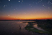 Thousand of insects flying over the Chobe River at sunset. Chobe River, Chobe National Park, Kasane, Botswana.