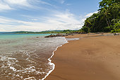 A sandy beach with gentle surf and palm trees. Drake Bay, Osa Peninsula, Costa Rica.