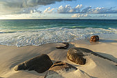 Surf surging towards boulders buried in sand on a tropical beach. Anse Victorin Beach, Fregate Island, Republic of the Seychelles.