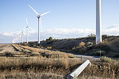 Wind turbines in Camargue, Port Saint Louis du Rhône, Bouches-du-Rhône, France