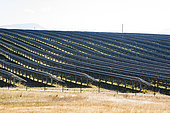 Large photovoltaic installation in a natural environment above Les Mées, Plateau de Valensole, Alpes de Haute Provence, France