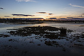 Sunset over the marshes, Camargue, France