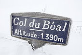 Béal pass in the snow, Livradois-Forez Regional Nature Park, Massif Central, France